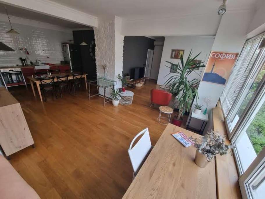 Large 2-Bedroom Centre Art Apartment Sofia Buitenkant foto